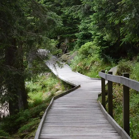 Rose * Sasbachwalden