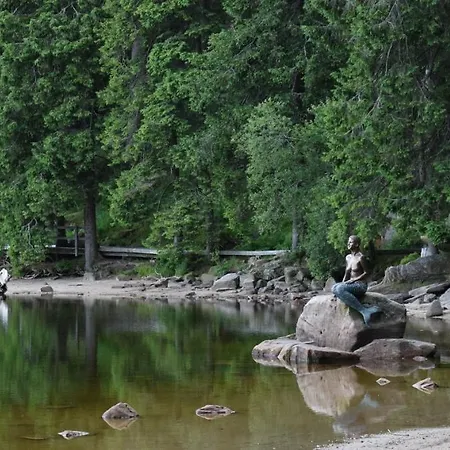 Rose * Sasbachwalden