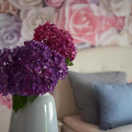 Rose Apartment Sasbachwalden