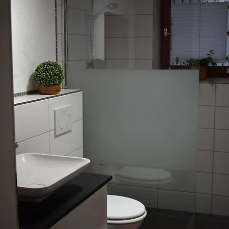 Rose * Sasbachwalden