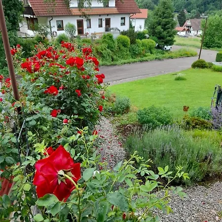 Apartment Rose Sasbachwalden