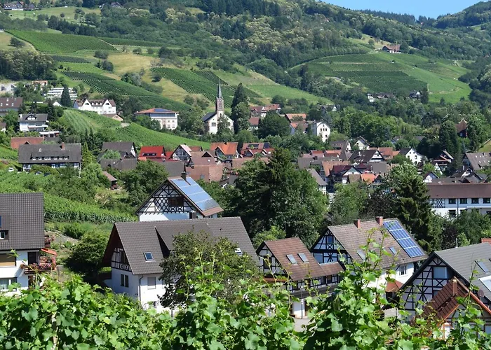 Rose * Sasbachwalden