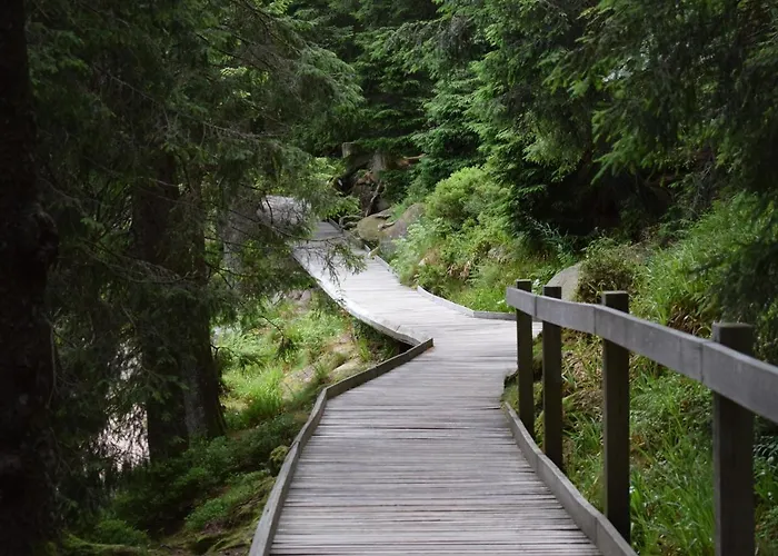 Rose * Sasbachwalden