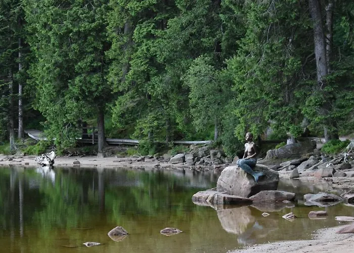 Rose * Sasbachwalden