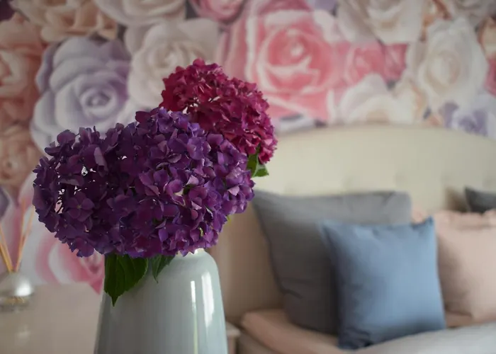 Rose Apartamento Sasbachwalden