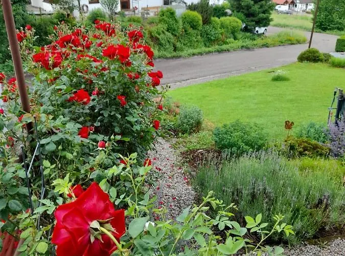 Apartamento Rose Sasbachwalden